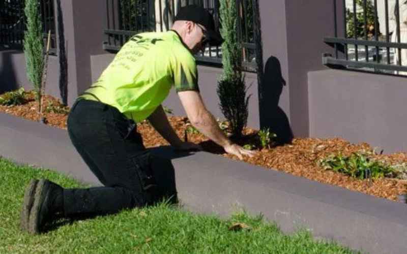 Mulching & Re-mulching